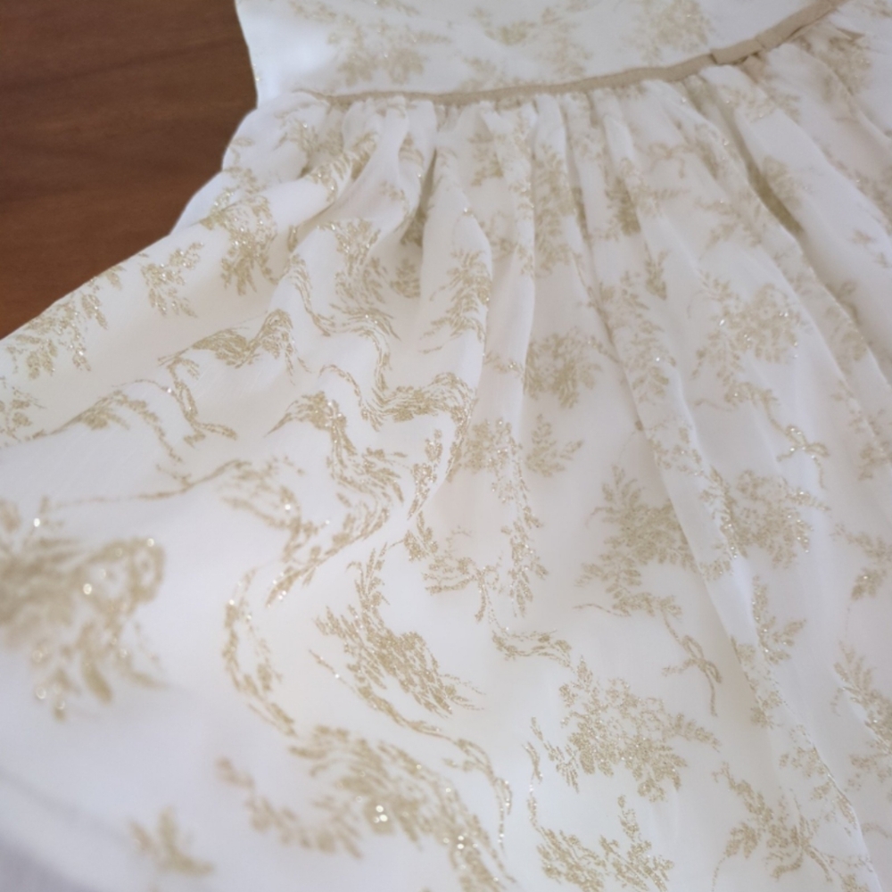 Janie and Jack Girl's Cream Color Shimmer Floral Chiffon Dress girls size 7 NNT - Picture 5 of 8